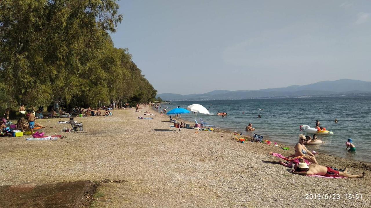 Liland Beachfront Lefkandi Chalkidas Exteriér fotografie